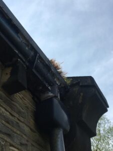 gutter3